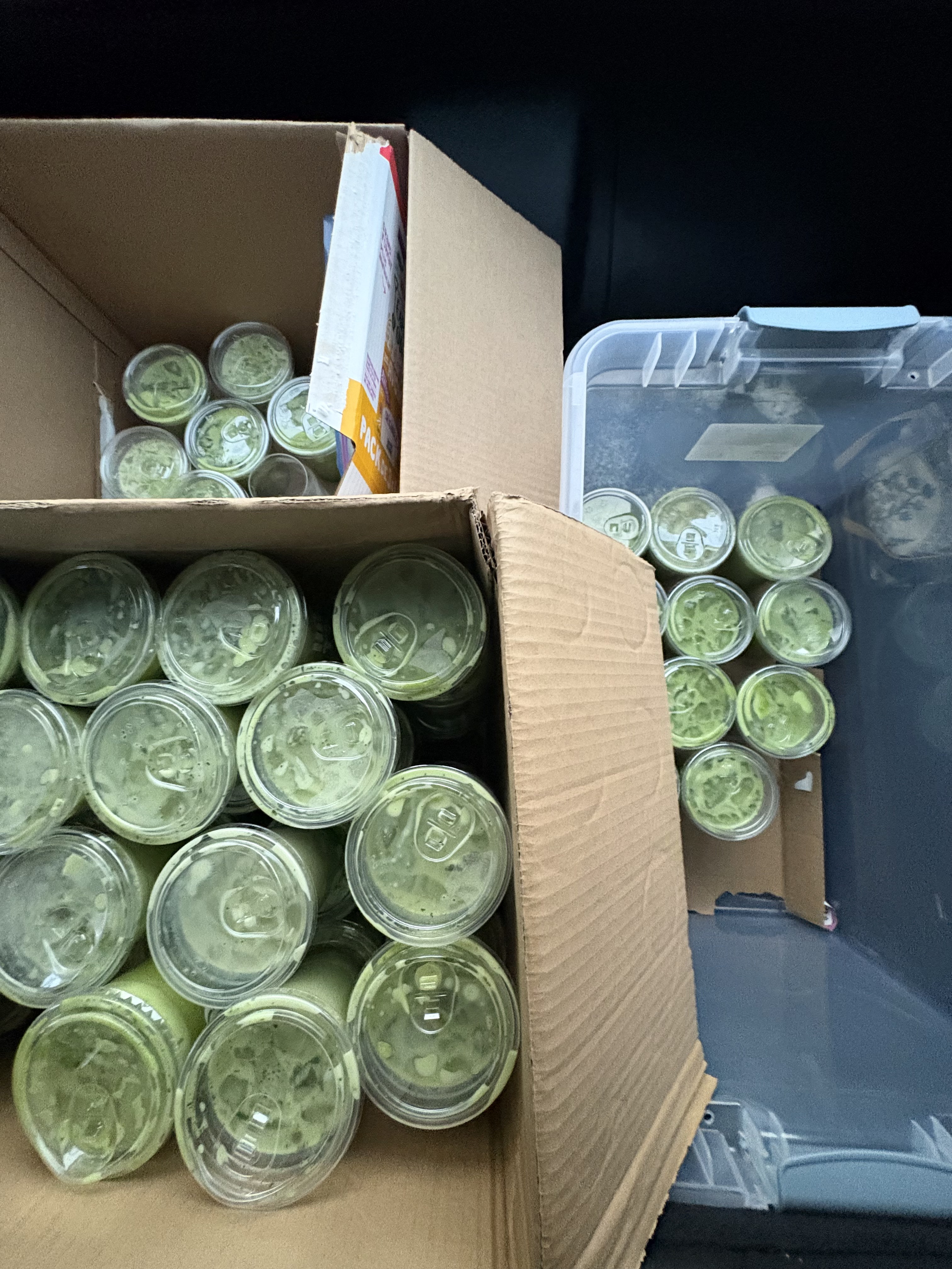 75+ Matcha Bulk Order
